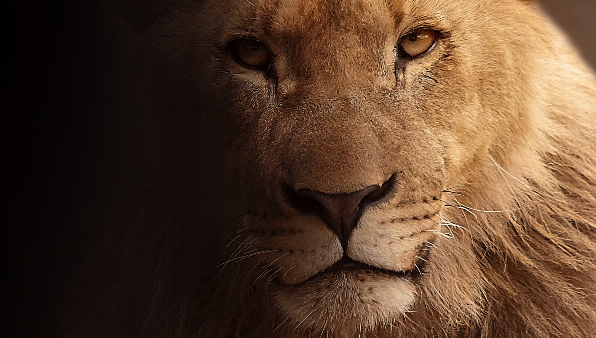 Think like a King If You Want to Become One