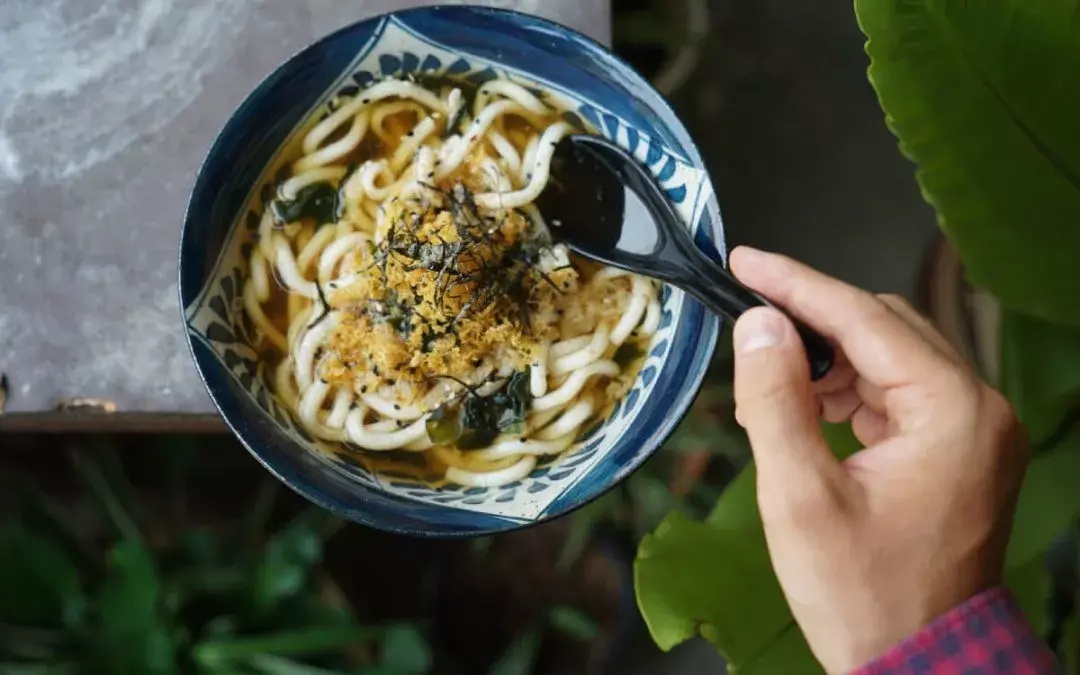 Udon Noodles Soup