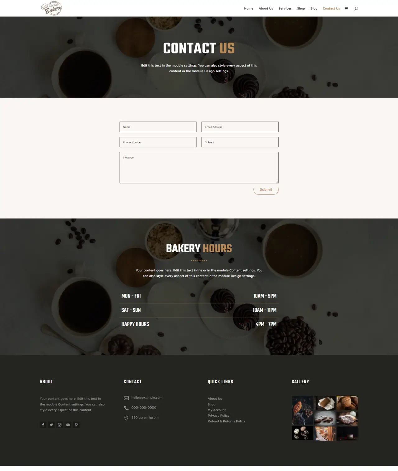 Divi Plus Bakery Child Theme Contact