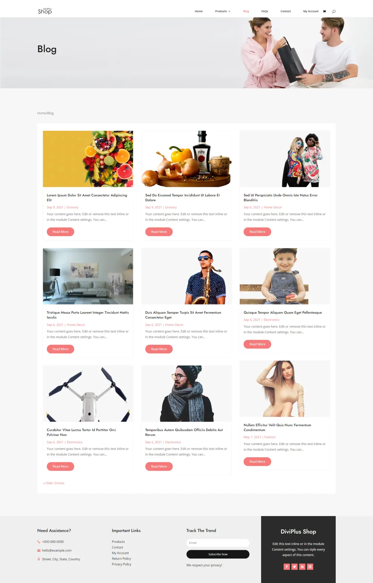 Divi Plus Modern Shop Blog