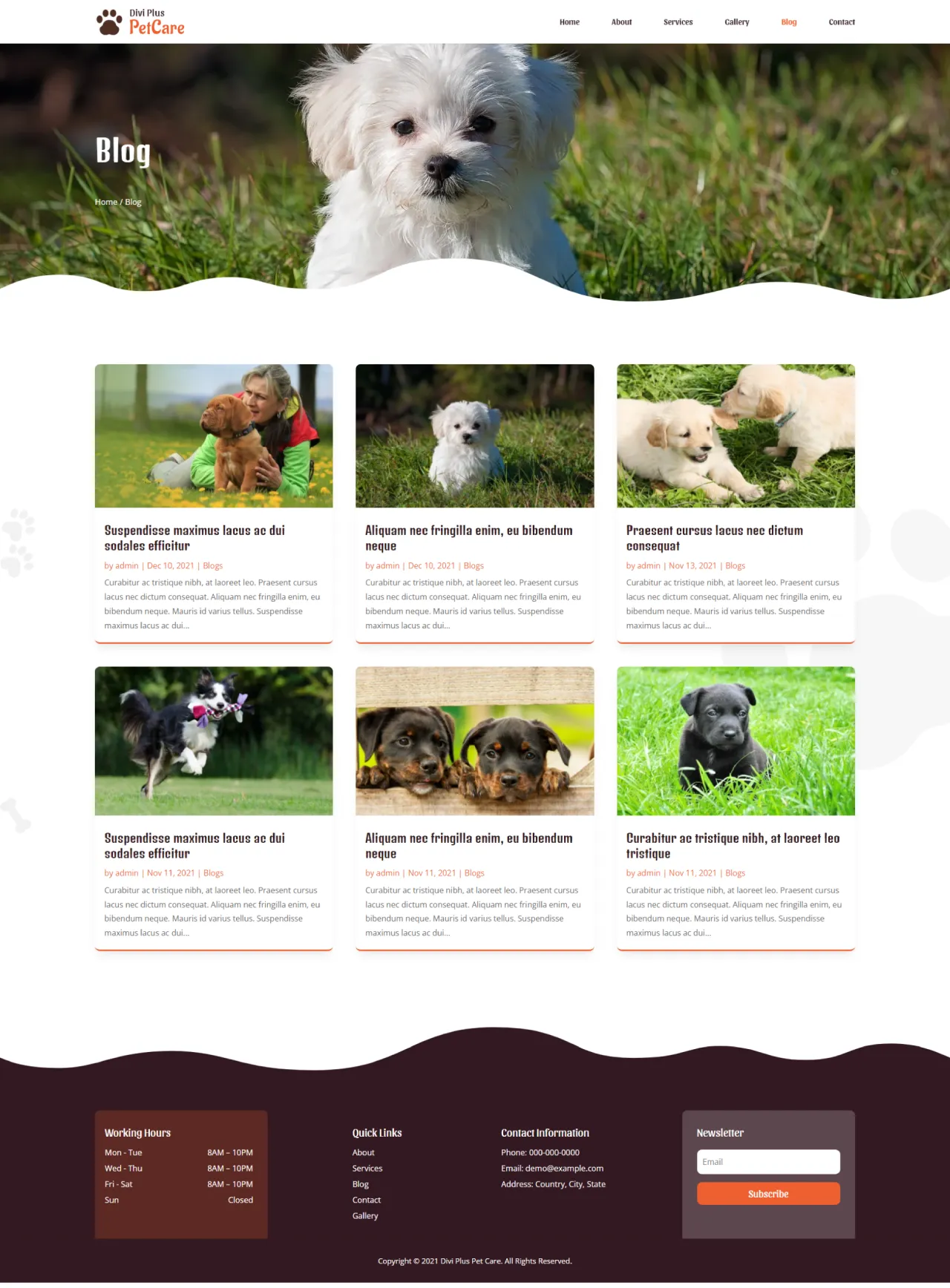 Divi Plus Pet Care Blog