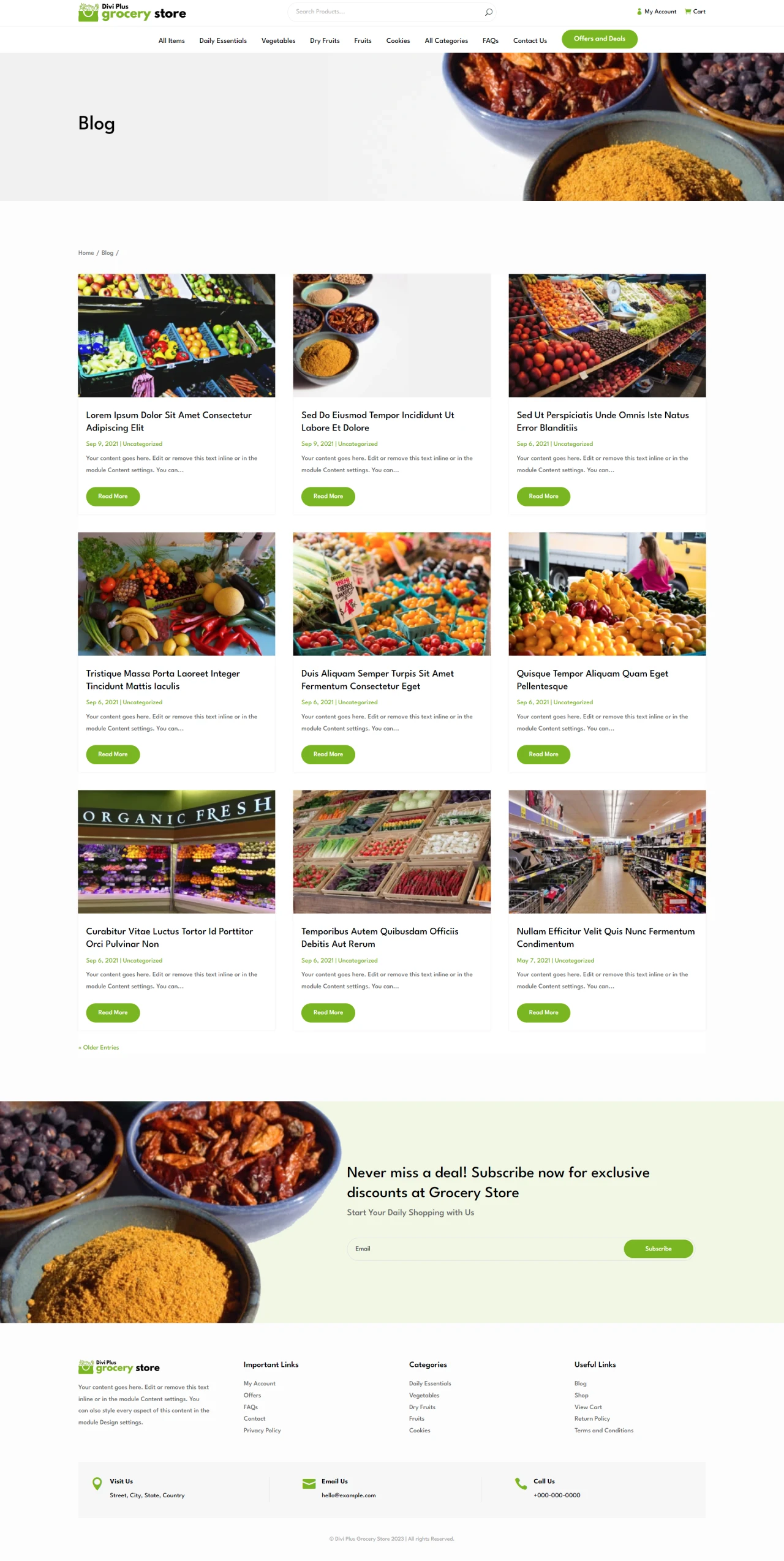 Divi Plus Grocery Store Child Theme Blog