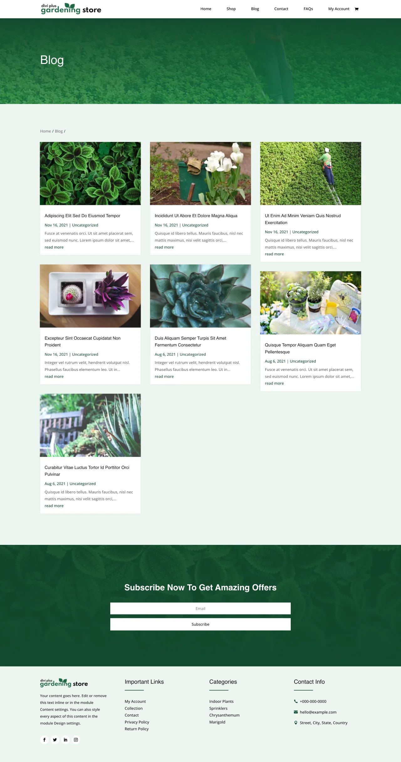 Divi Plus Gardening Child Theme Blog