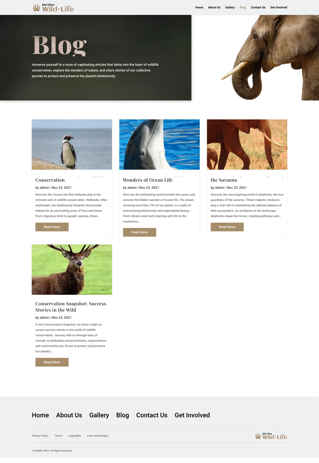 Divi Plus Wildlife Blog