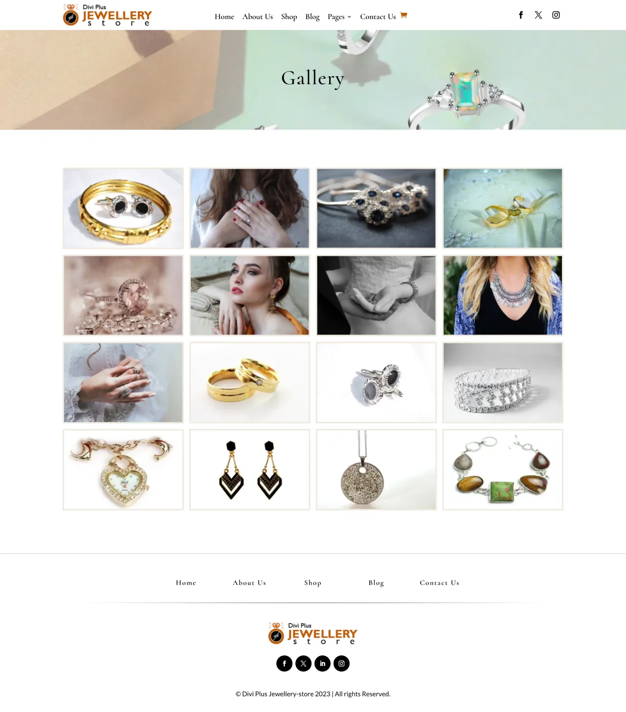 divi-plus-jewellery-store-child-theme-gallery Divi Plus Jewellery Store Gallery