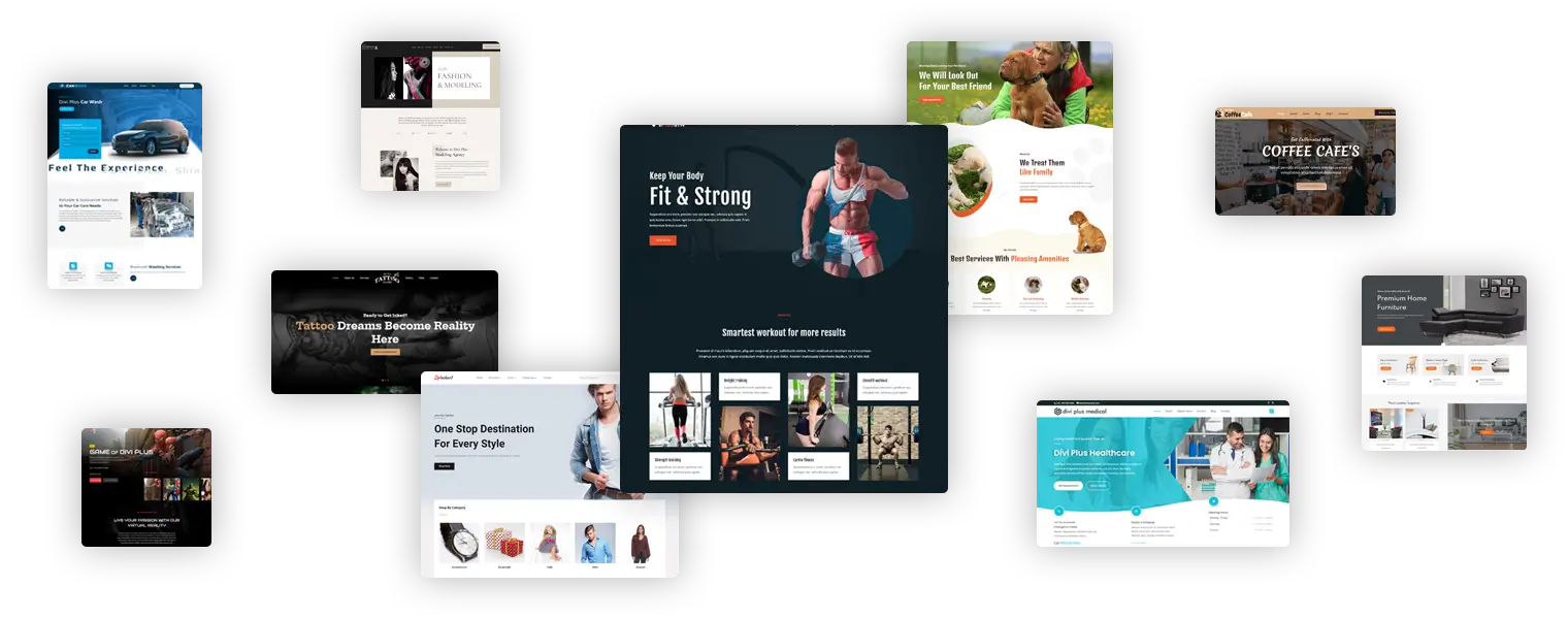 Divi for Beginners