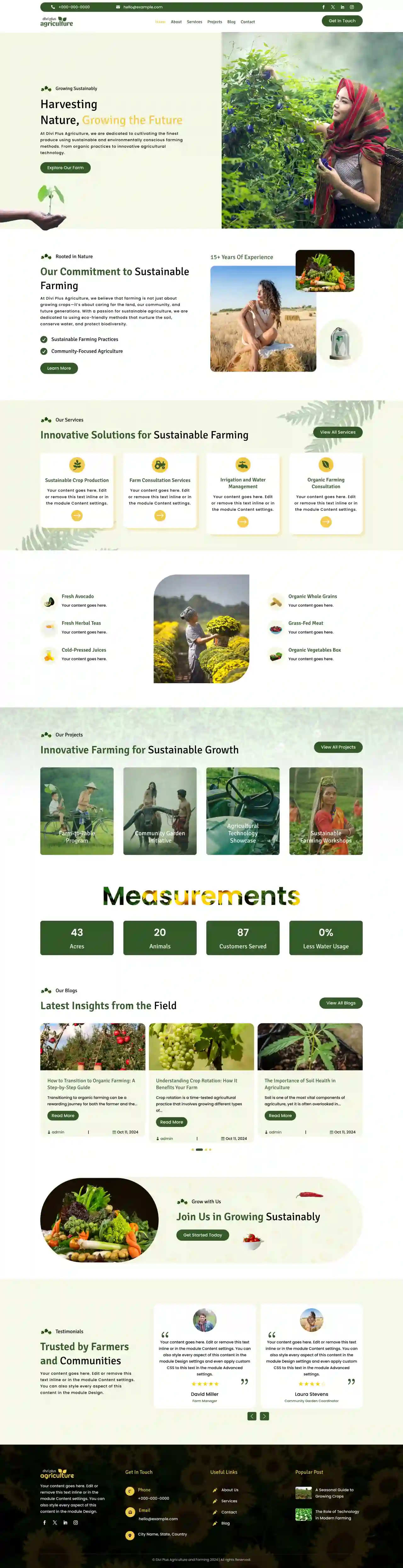 divi-plus-accountant-child-theme-home Divi Plus Accountant Child Theme