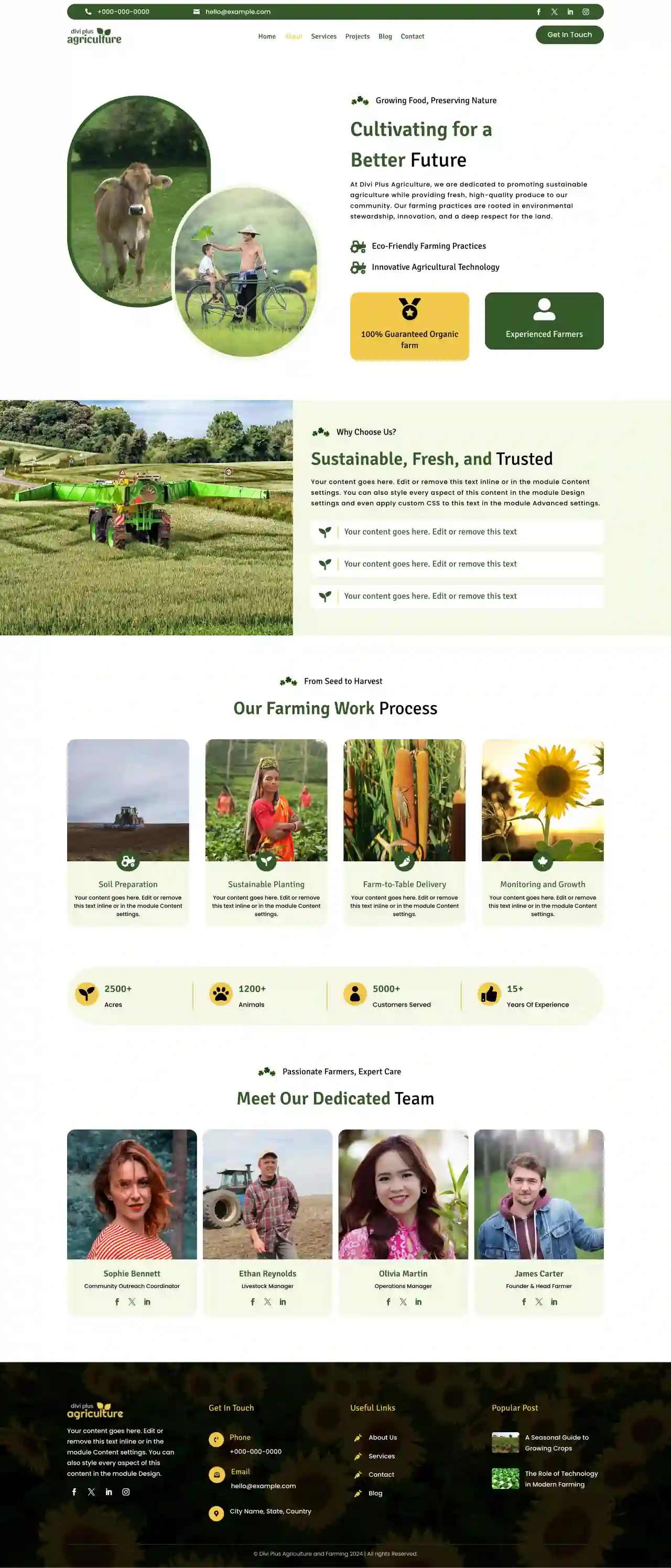 divi-plus-accountant-child-theme-about Divi Plus Accountant Child Theme