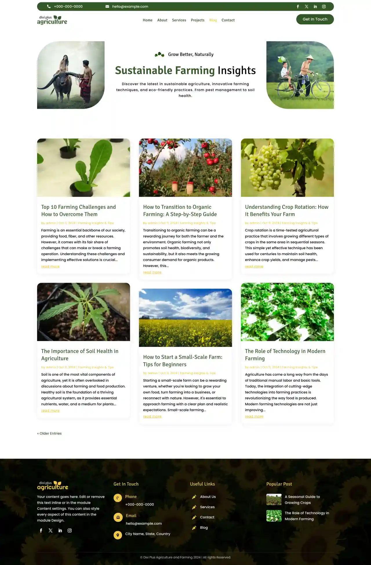 divi-plus-accountant-child-theme-testimonial Divi Plus Janitorial Services Child Theme