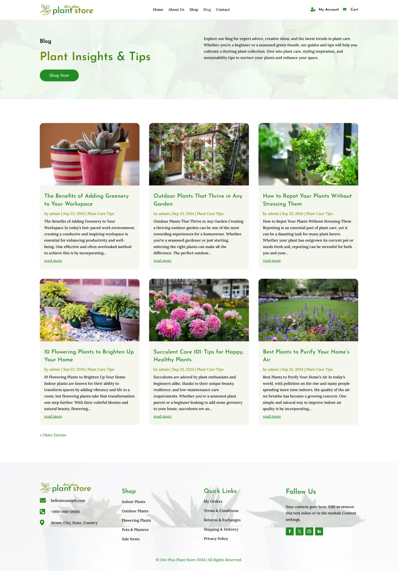 divi-plus-plant-store-child-theme-blog Divi Plus Gardening Child Theme FAQs