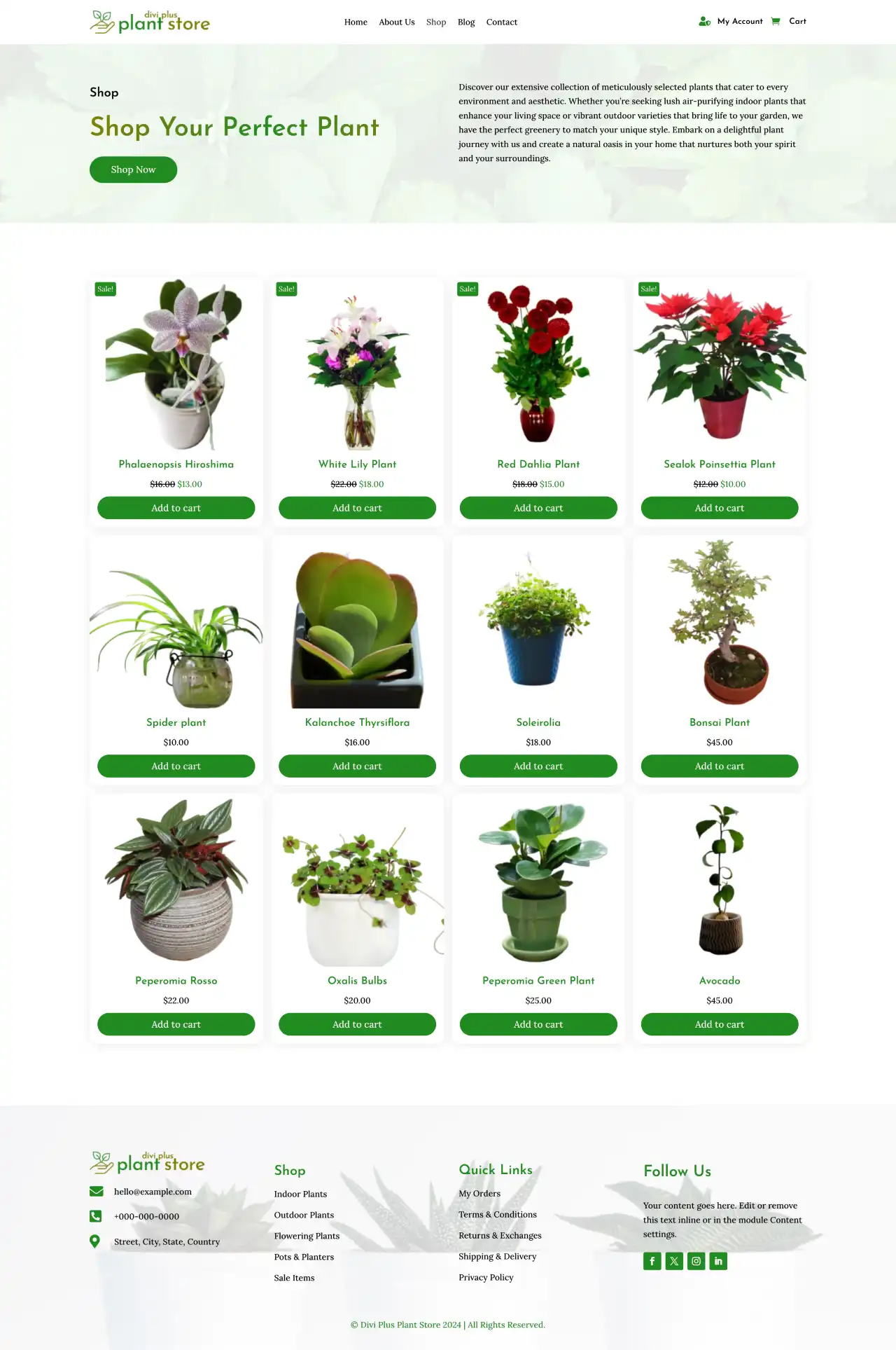 Divi Plus Gardening Child Theme Blog