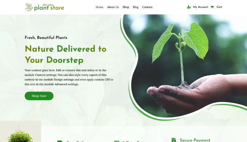 Divi Plant Store Child Theme