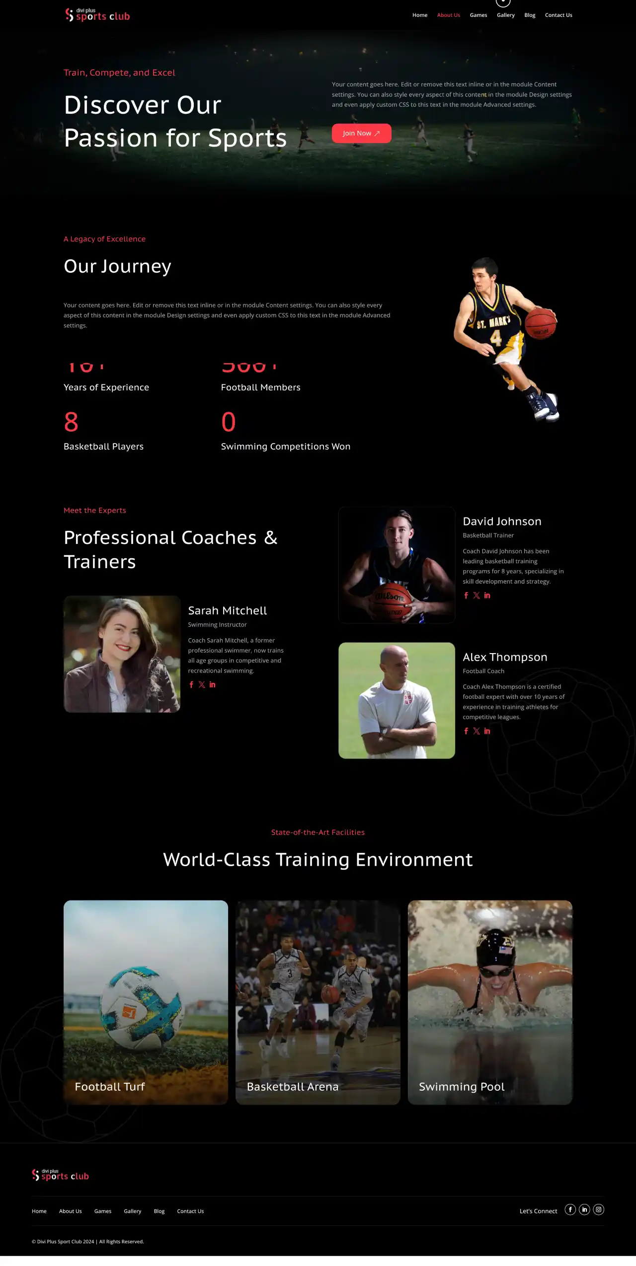 divi-plus-accountant-child-theme-about Divi Plus Accountant Child Theme