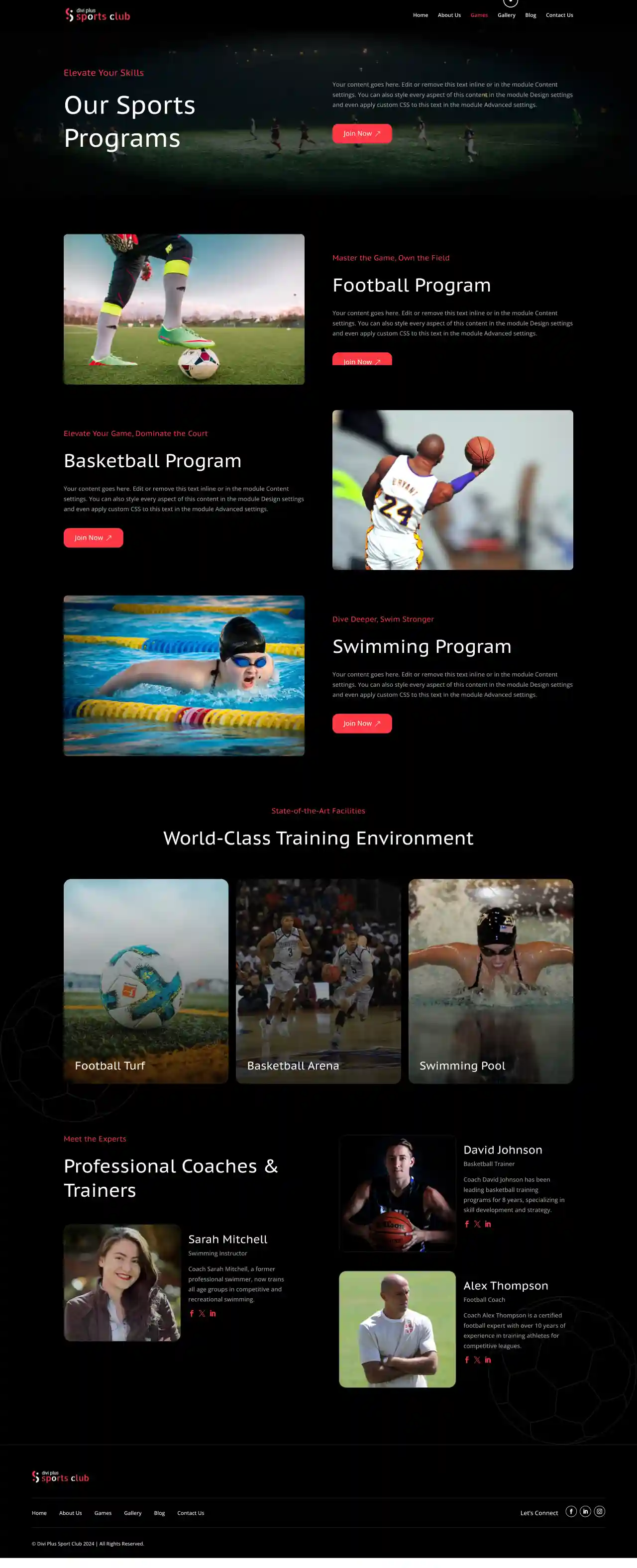 Divi Plus JAccountant Child Theme