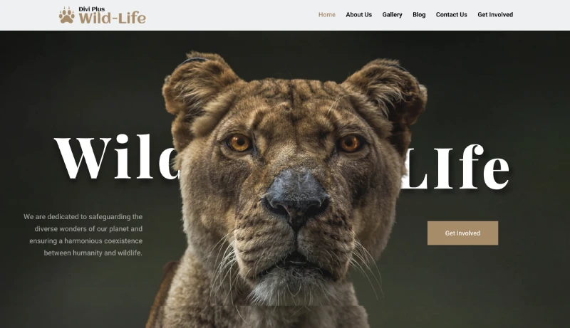 Divi Wild Life Child Theme