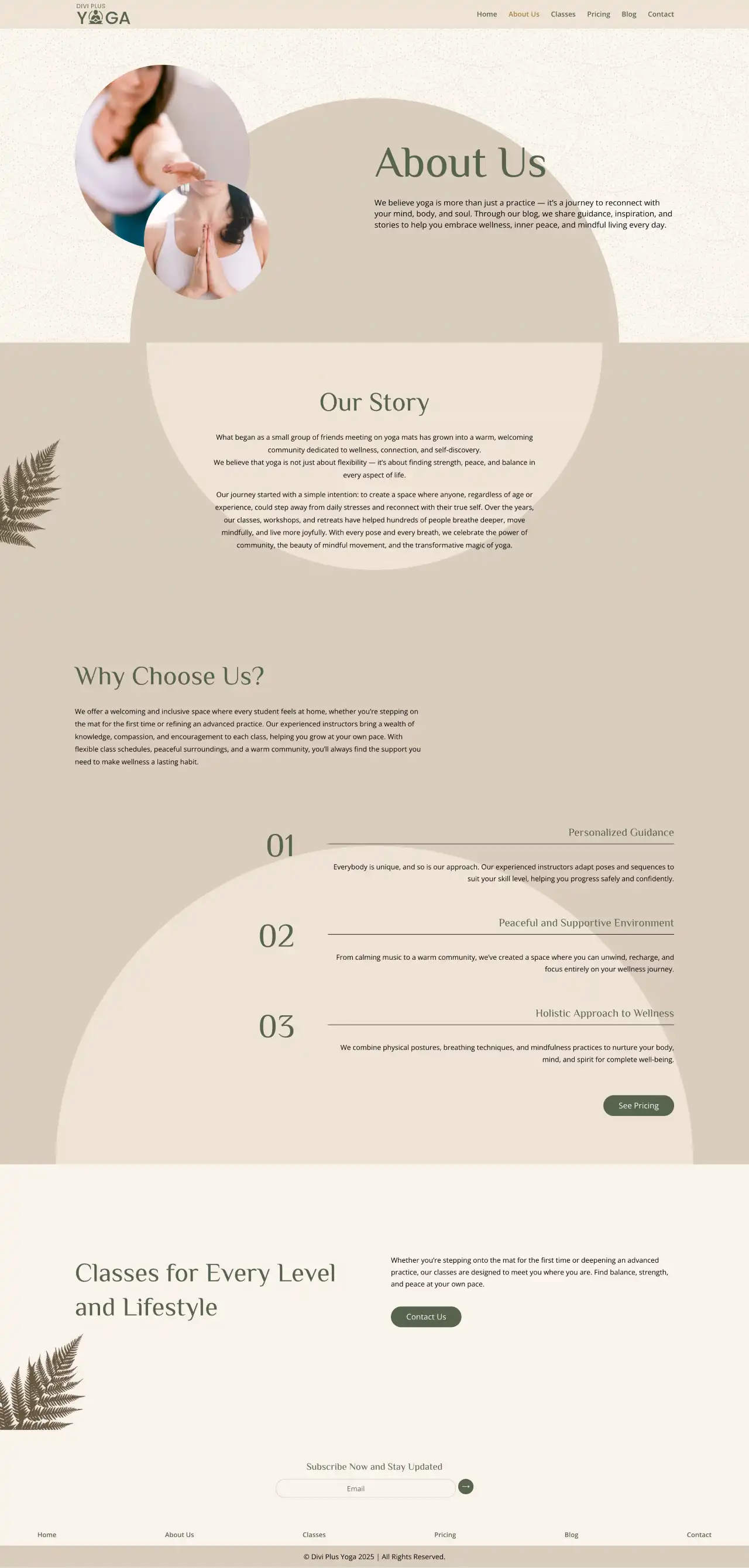 Divi Plus Accountant Child Theme