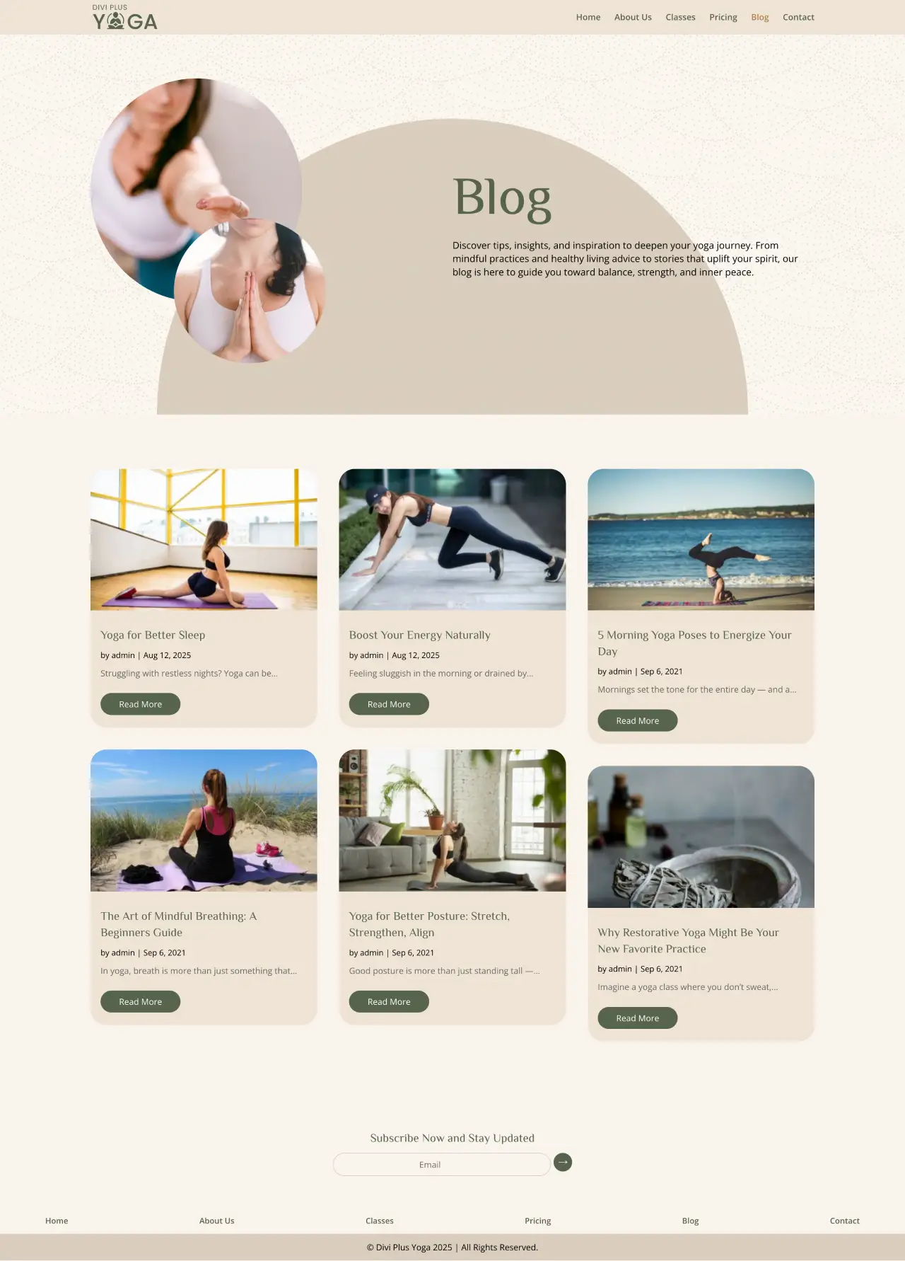 Divi Plus Janitorial Services Child Theme