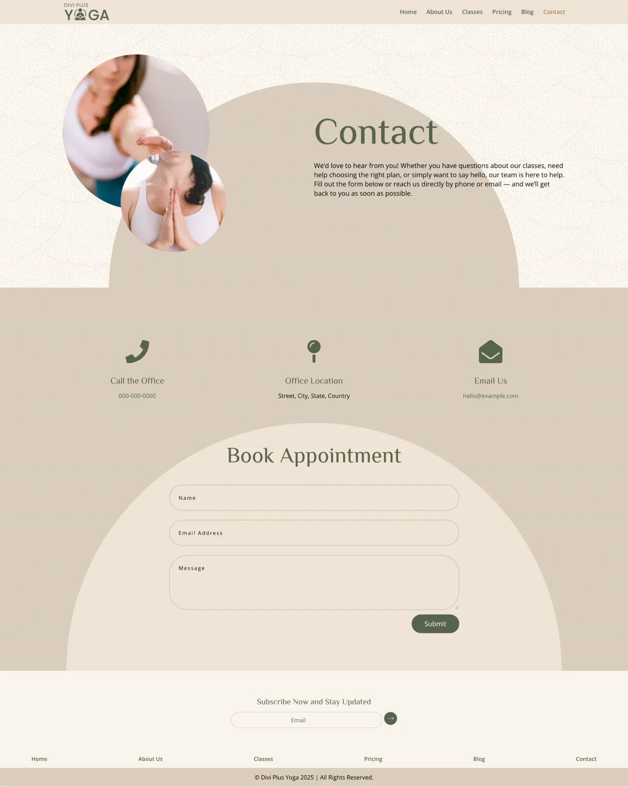 Divi Plus Accountant Child Theme