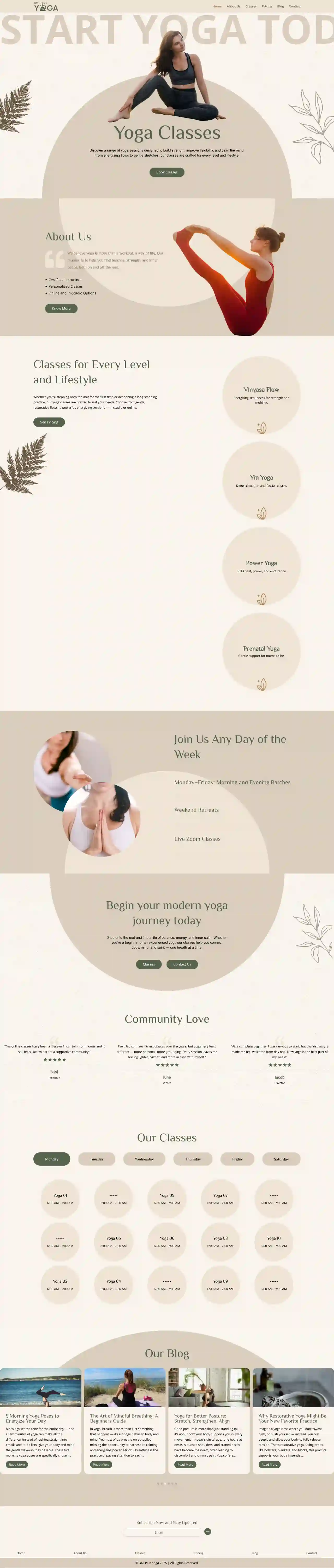 Divi Plus Accountant Child Theme