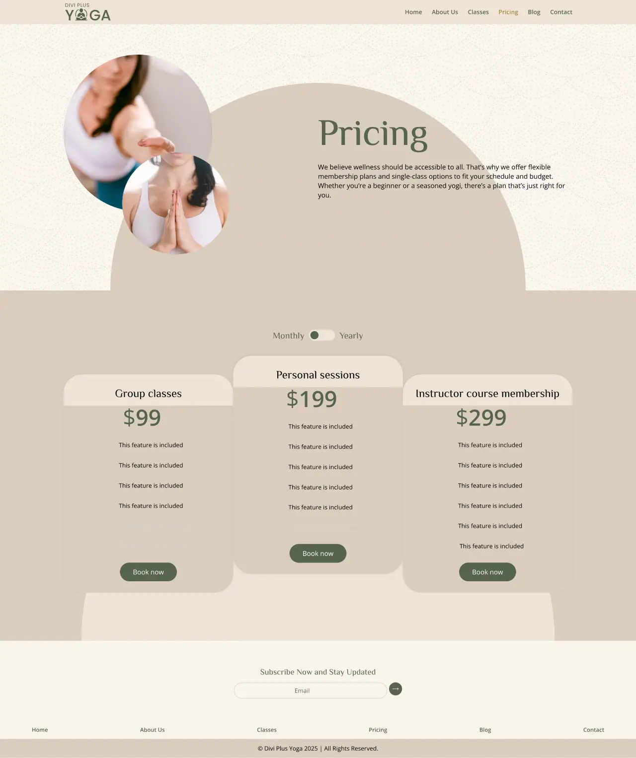 Divi Plus Accountant Child Theme